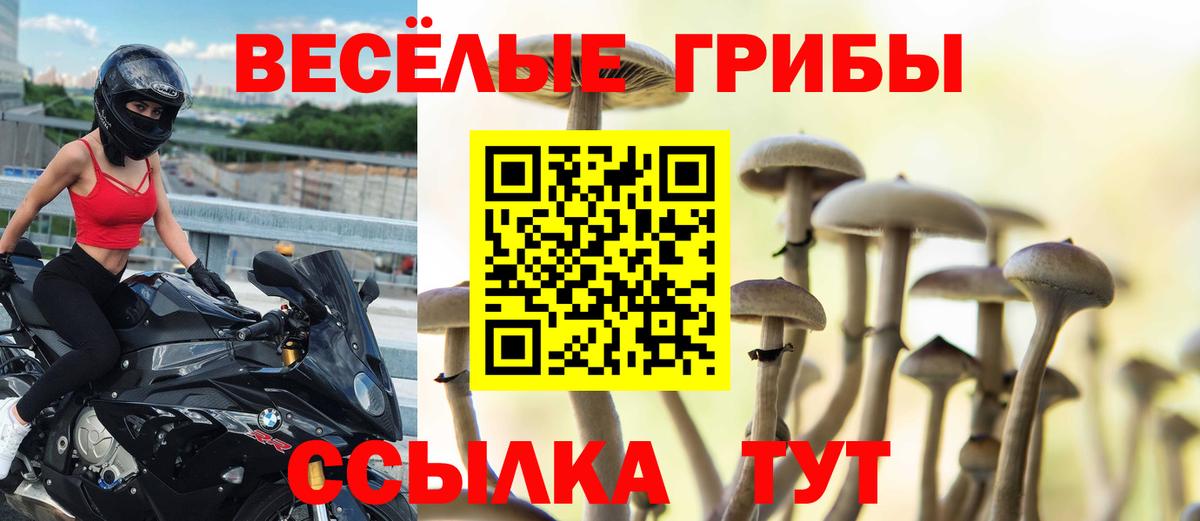 Галлюциногенные грибы MAGIC MUSHROOMS Сокол