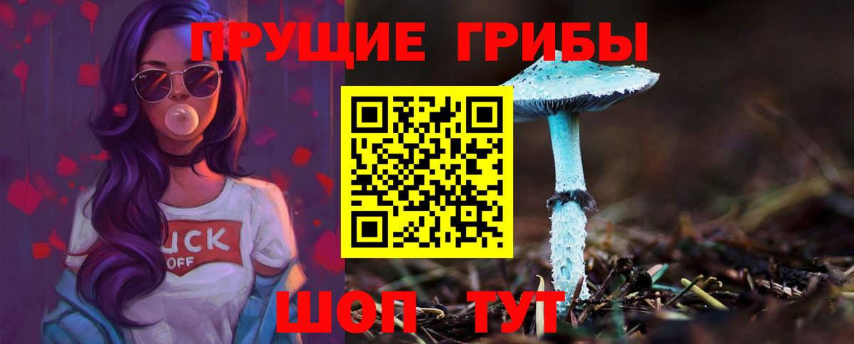 Псилоцибиновые грибы MAGIC MUSHROOMS  Псилоцибиновые грибы ЛСД  Вход с VPN  купить наркотики цена  Сокол 